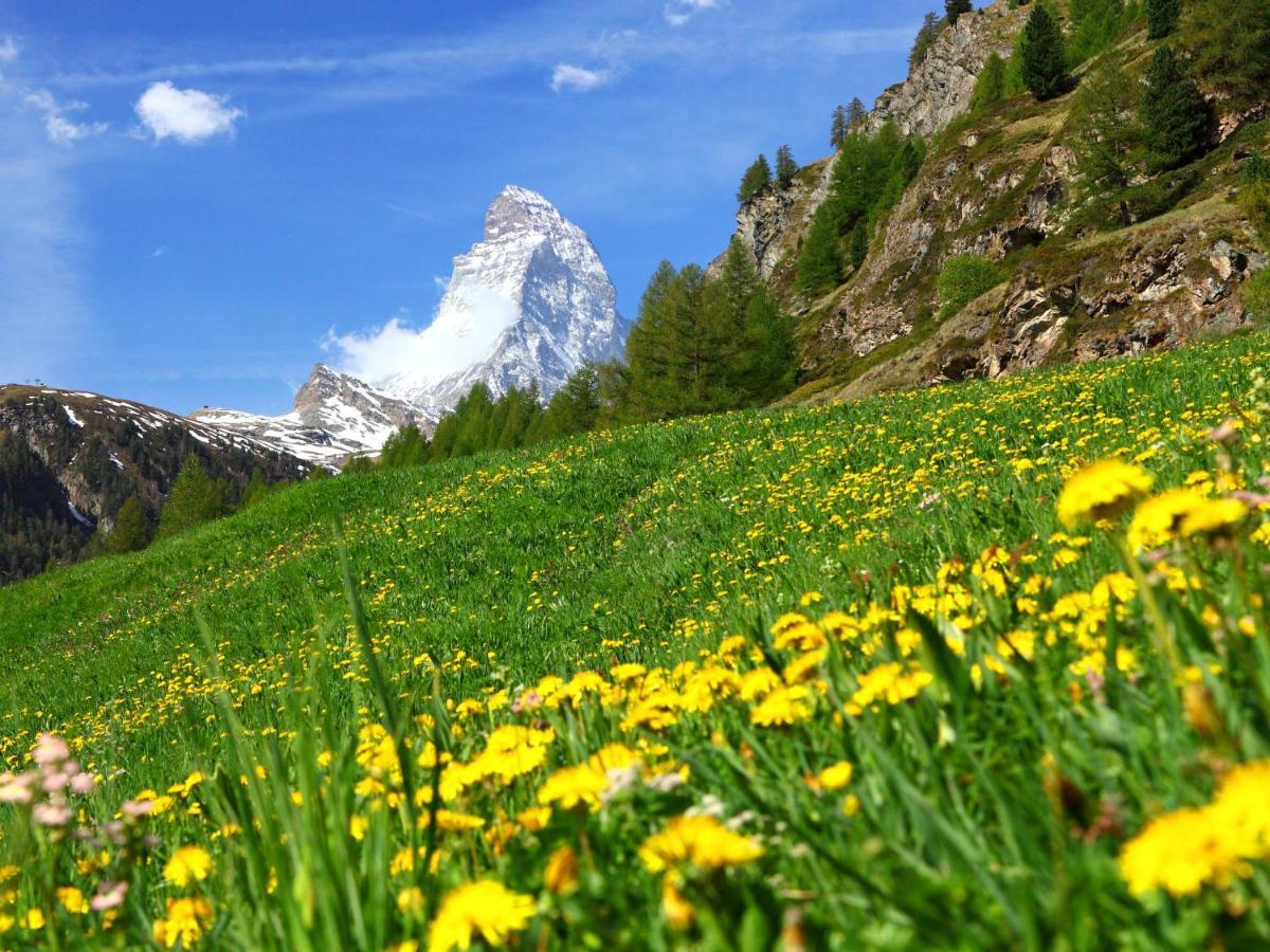 Apartment Aquila By Interhome Zermatt Bagian luar foto